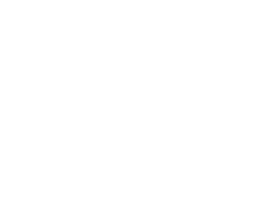 icon form